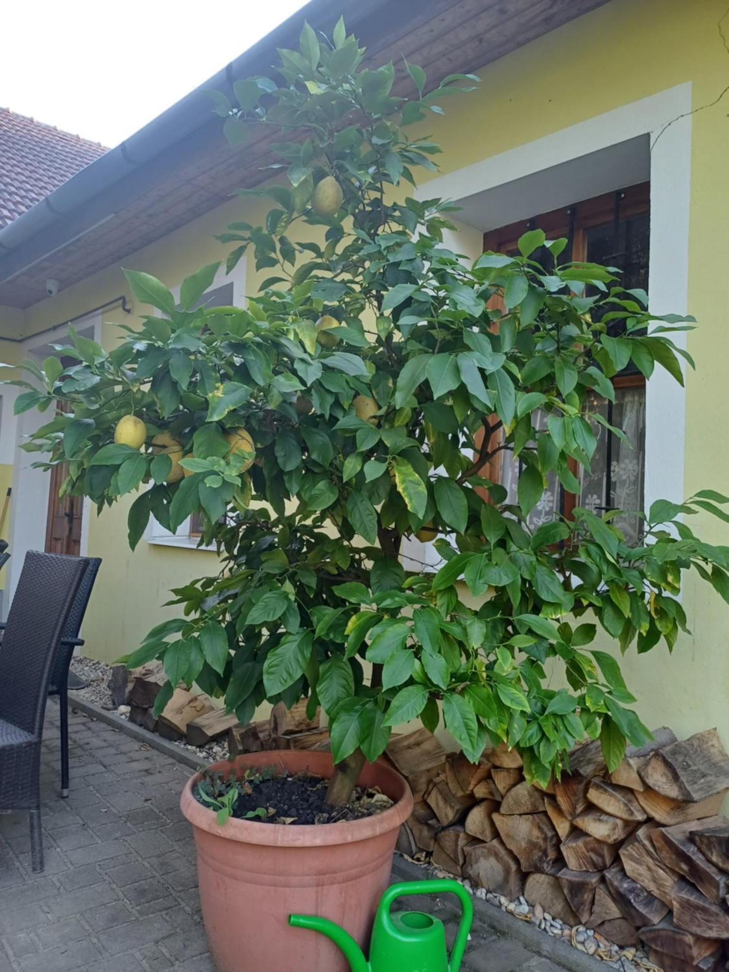 Nagykapornak Zanati Apartmannhaz מראה חיצוני תמונה